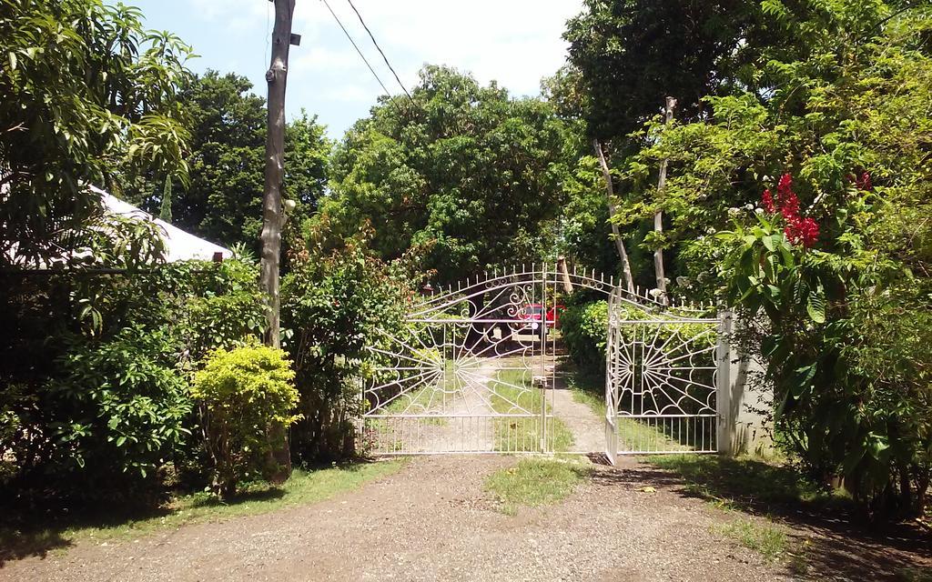 Shades Cottage Guesthouse Blue Hole 外观 照片