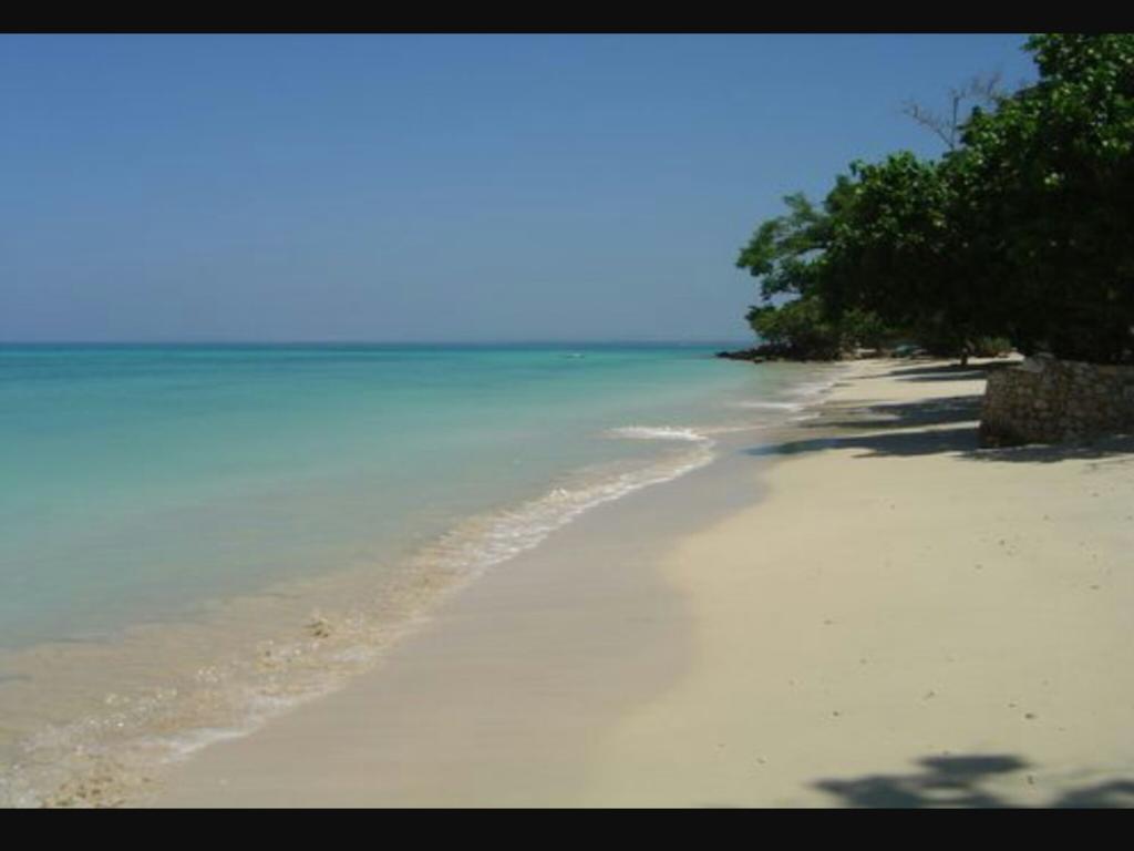 Shades Cottage Guesthouse Blue Hole 外观 照片