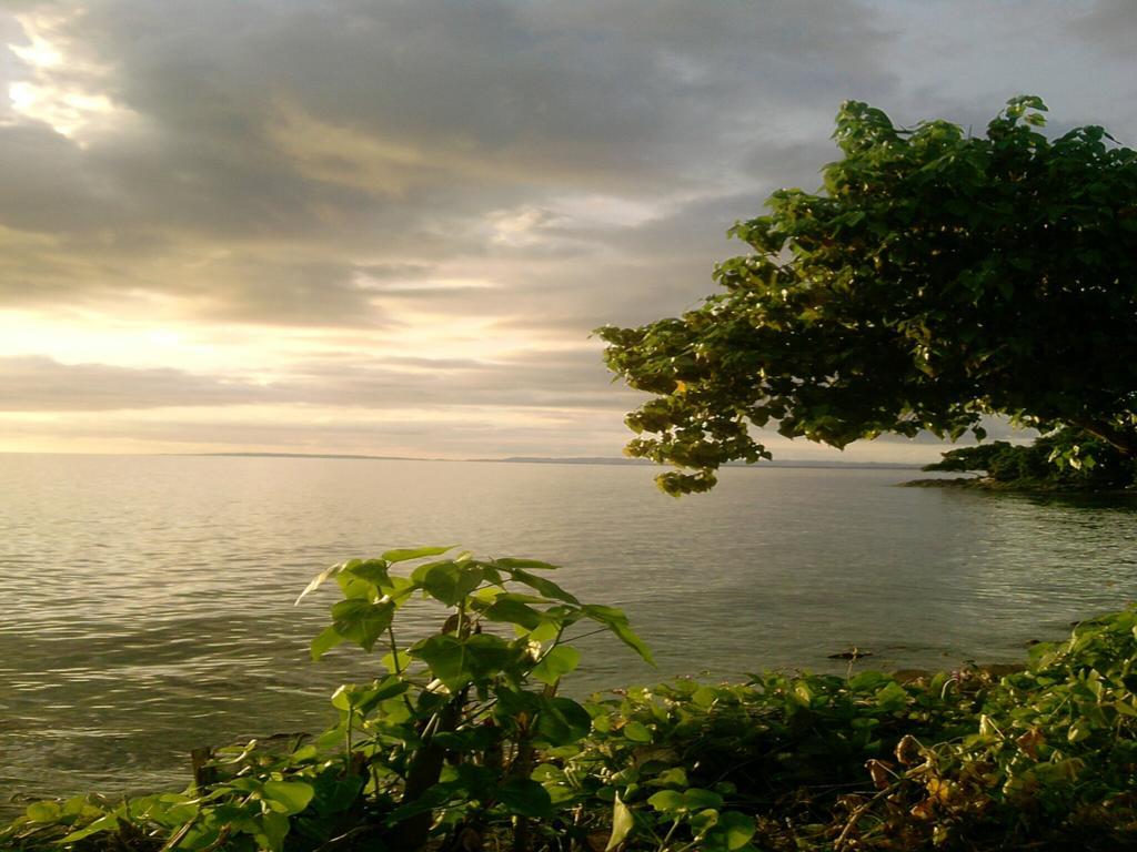 Shades Cottage Guesthouse Blue Hole 外观 照片
