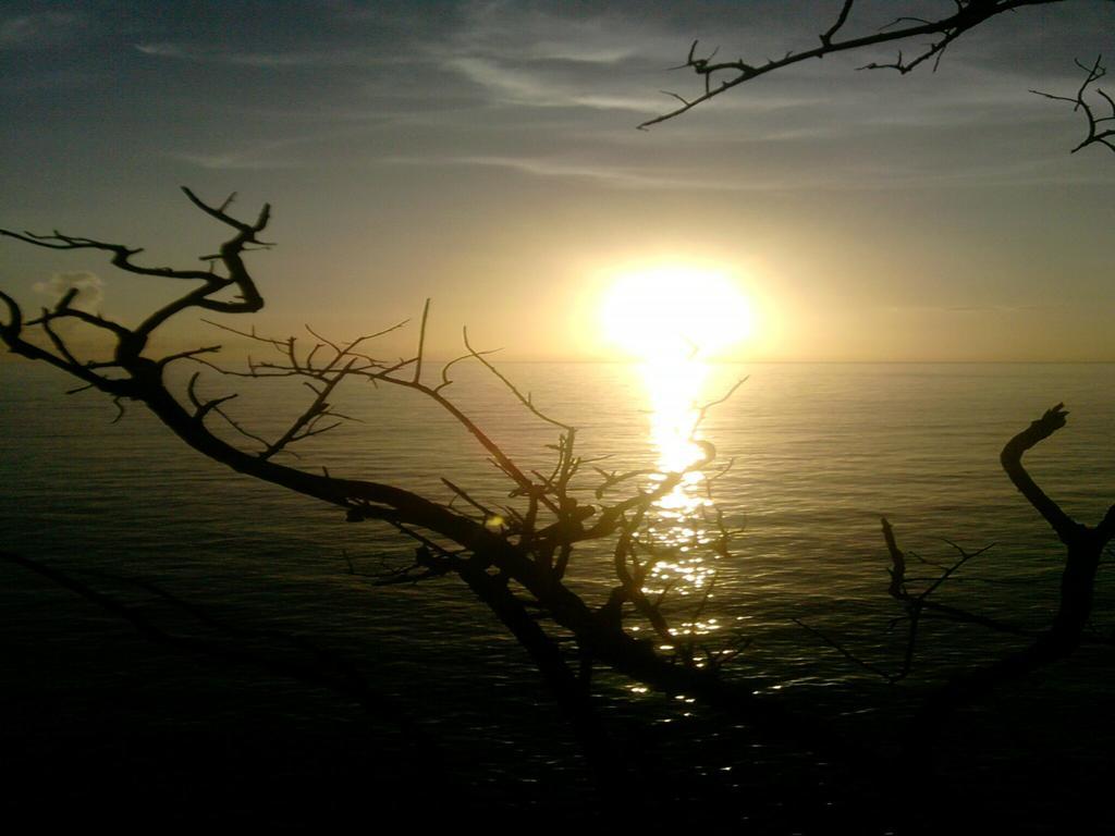 Shades Cottage Guesthouse Blue Hole 外观 照片