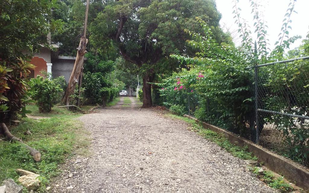 Shades Cottage Guesthouse Blue Hole 外观 照片