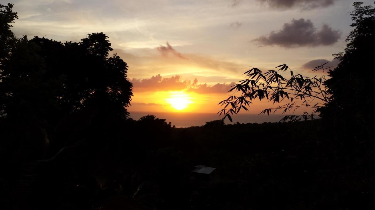 Shades Cottage Guesthouse Blue Hole 外观 照片