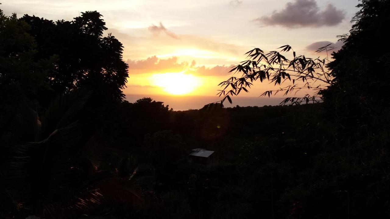 Shades Cottage Guesthouse Blue Hole 外观 照片